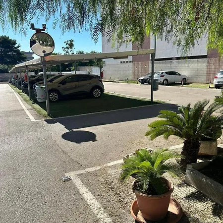 Apartment Paradise *