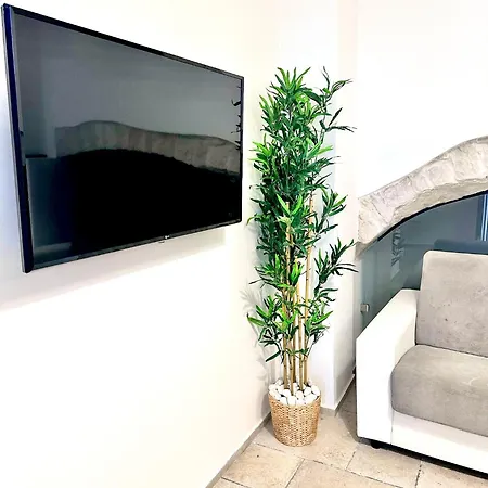 Paradise Apartment